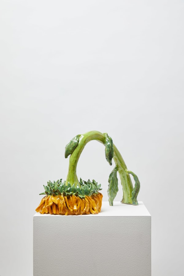 Henrietta MacPhee, Sad Sunflower, 2023