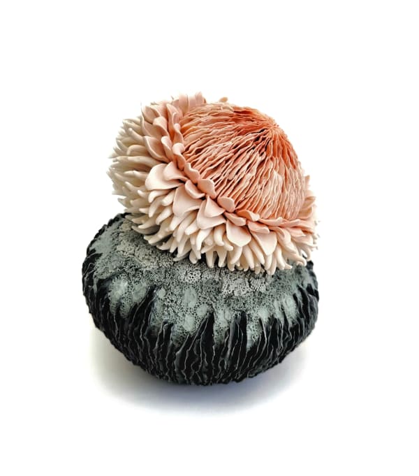 Erum Aamir, Amor Primus, 2024