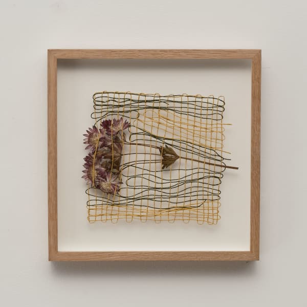 Rachna Garodia, Astrantia, 2023