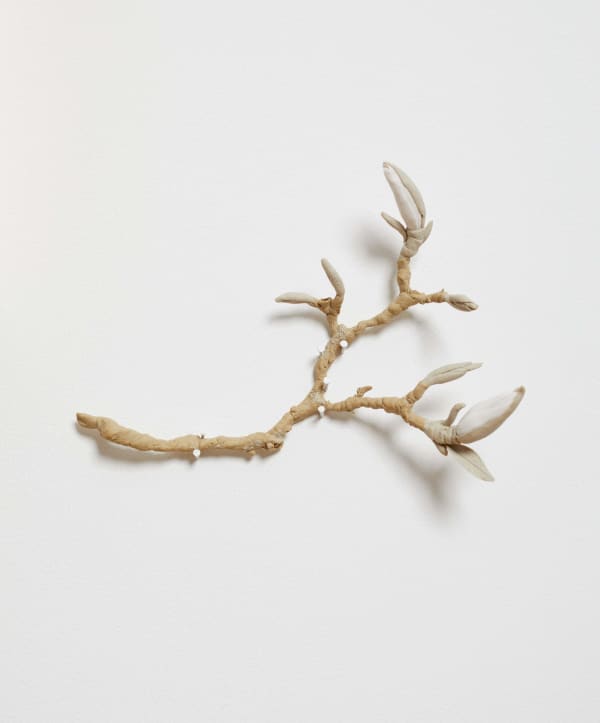 Katie Spragg, Twig: Magnolia, 2022