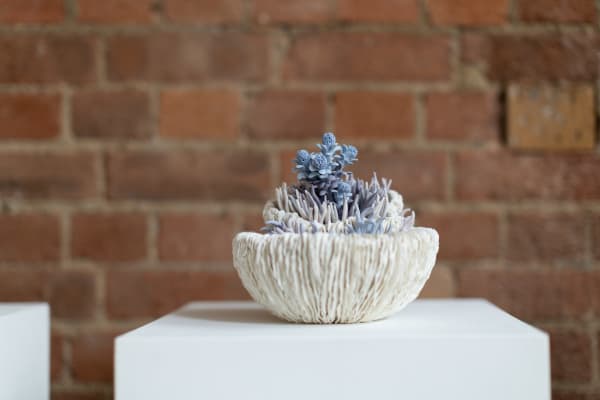 Erum Aamir, Delusio, 2024