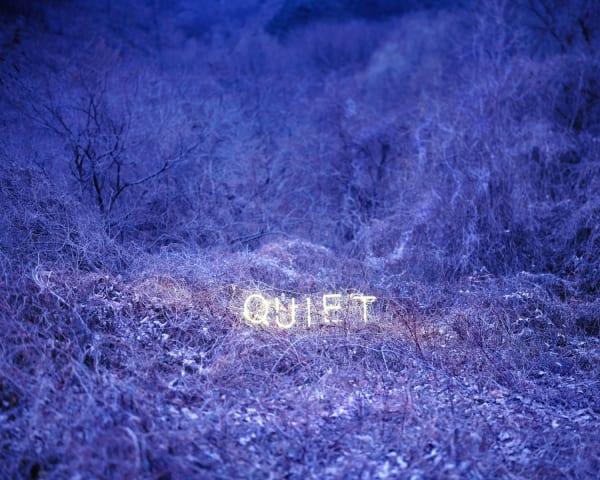 Jung Lee, QUIET, 2017