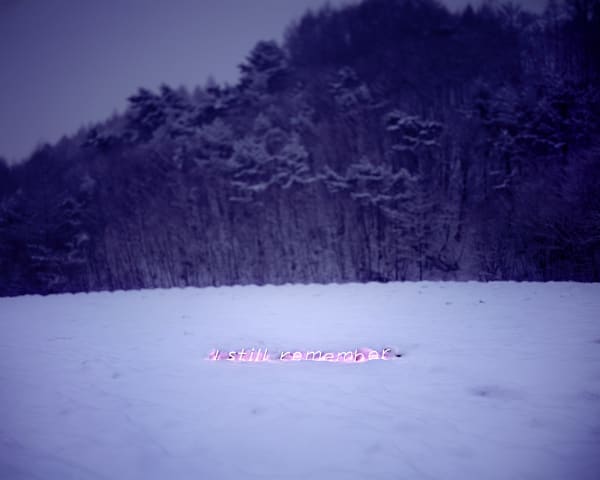 Jung Lee, I Still Remember, 2010