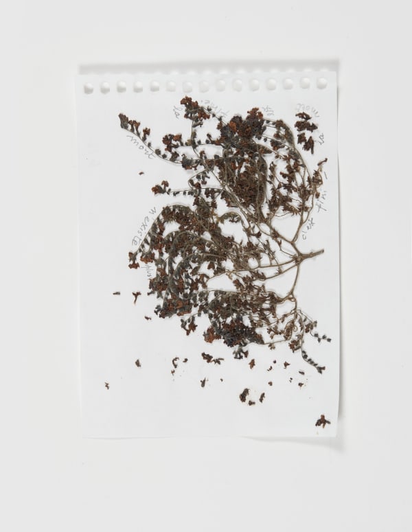 Sabine Monirys, La mort n’existe plus, c’est fini - la mort est finie,