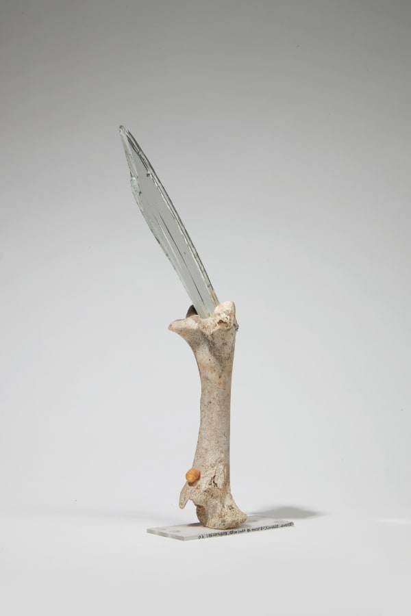 Sabine Monirys, Oh l’escargot, escalade ce mont Fuji, mais doucement, doucement., 1998 - 1999 (approx)