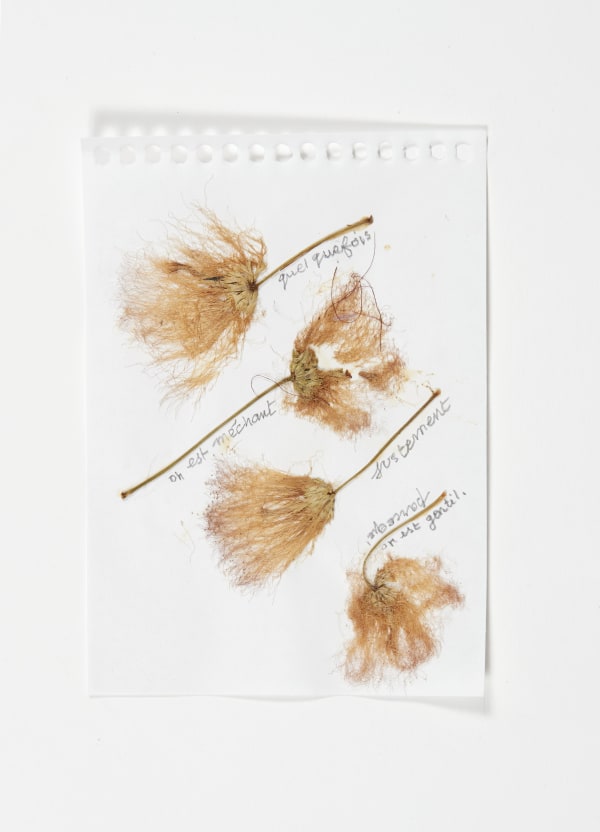 Sabine Monirys, Quelquefois on est méchant justement parce qu’on est gentil,