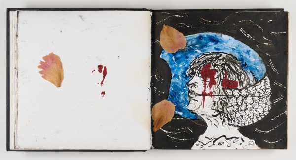 Sabine Monirys, The sketchbooks