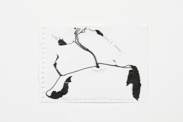 Sabine Monirys, Tenir jusqu’à demain: “FAIT !”,