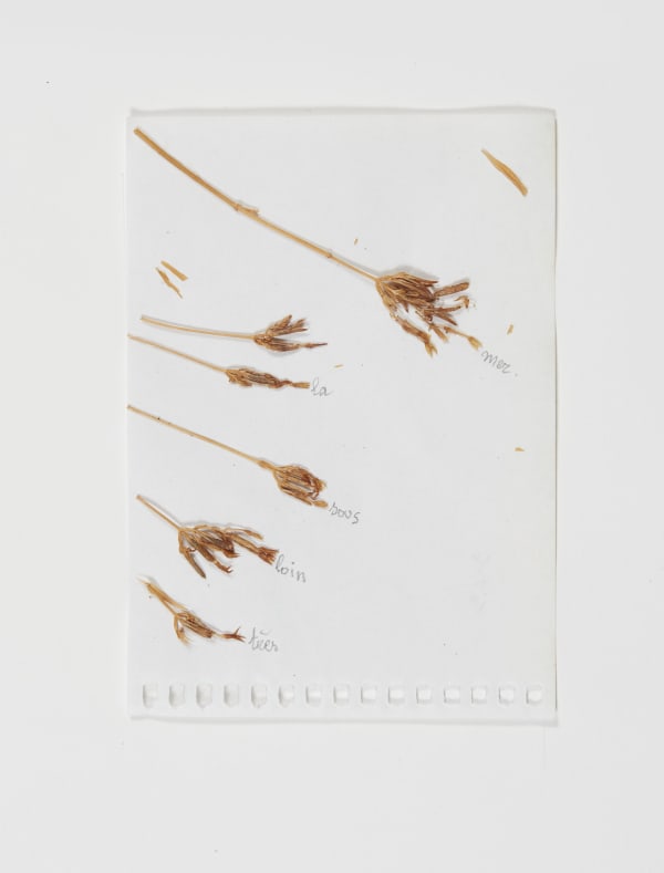 Sabine Monirys, Très loin sous la mer,