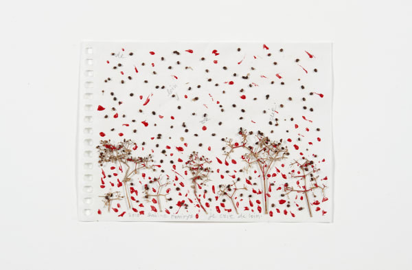 Sabine Monirys, Je crie de loin,