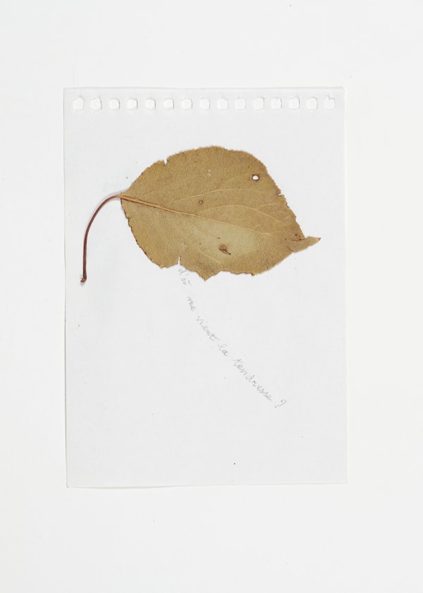 Sabine Monirys, D’où me vient la tendresse ?,