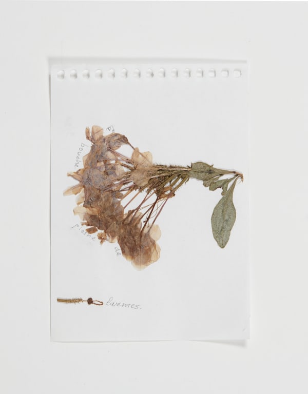 Sabine Monirys, La bouche pleine de larmes,