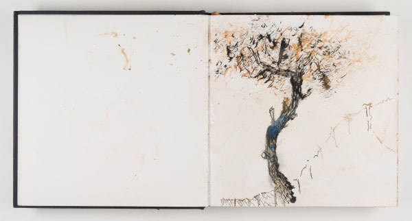 Sabine Monirys, The sketchbooks