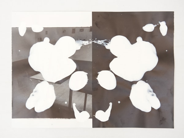 Tashi Brauen, ZZZen, 2020