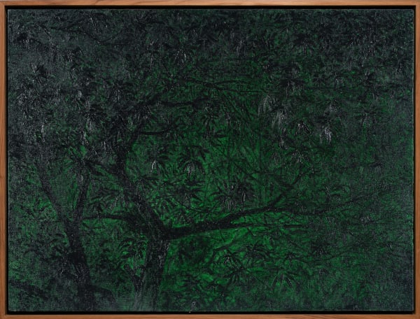 Noppanan Thannaree, Shade of Mango Tree, 2019