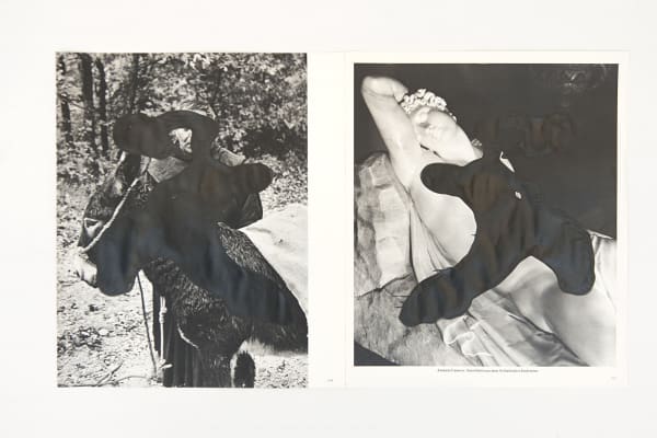 Tashi Brauen, Don With the Donkey, 2020