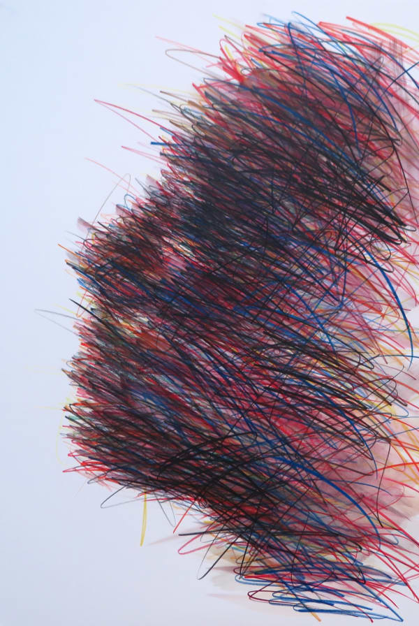 Hom Nguyen, Untitled #5 (Racines), 2019