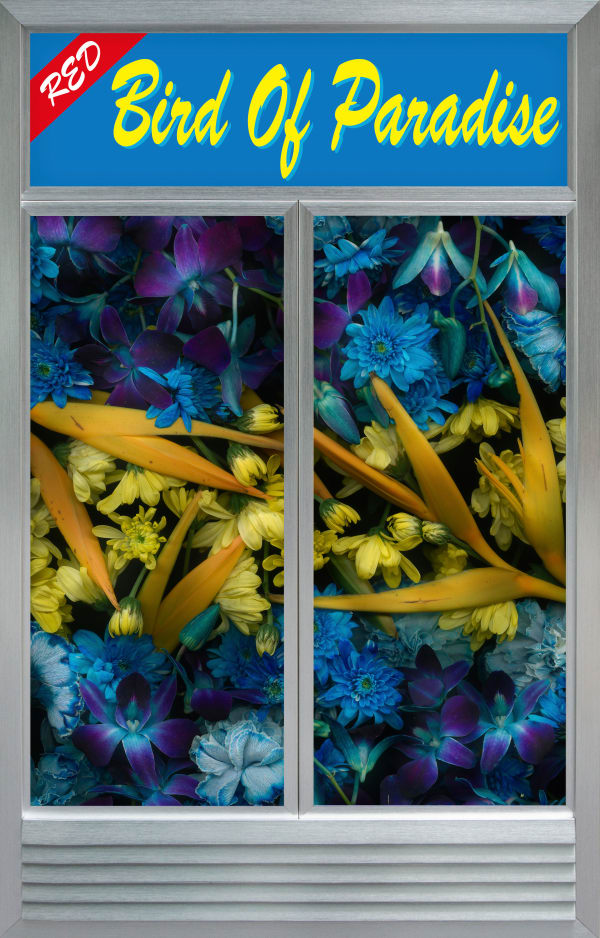 Naraphat Sakarthornsap, Red Bird of Paradise, 2022