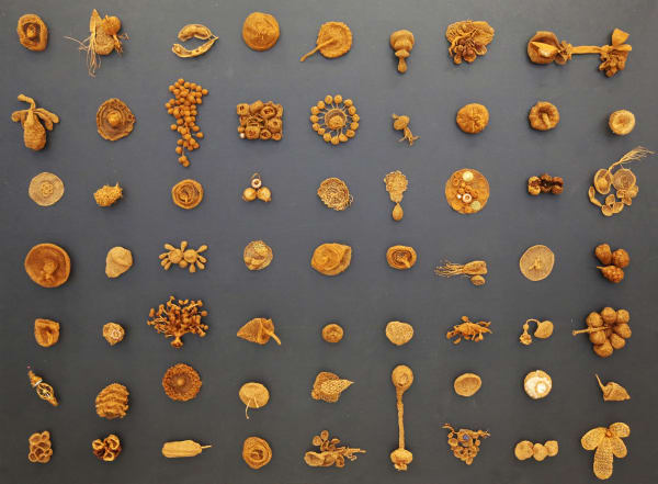 Weerapong Sansomporn, Poison Fruit ผลไม้พิษ, 2018