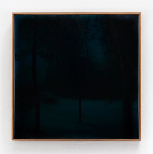 Kitikong Tilokwattanotai, Over the night, 2021