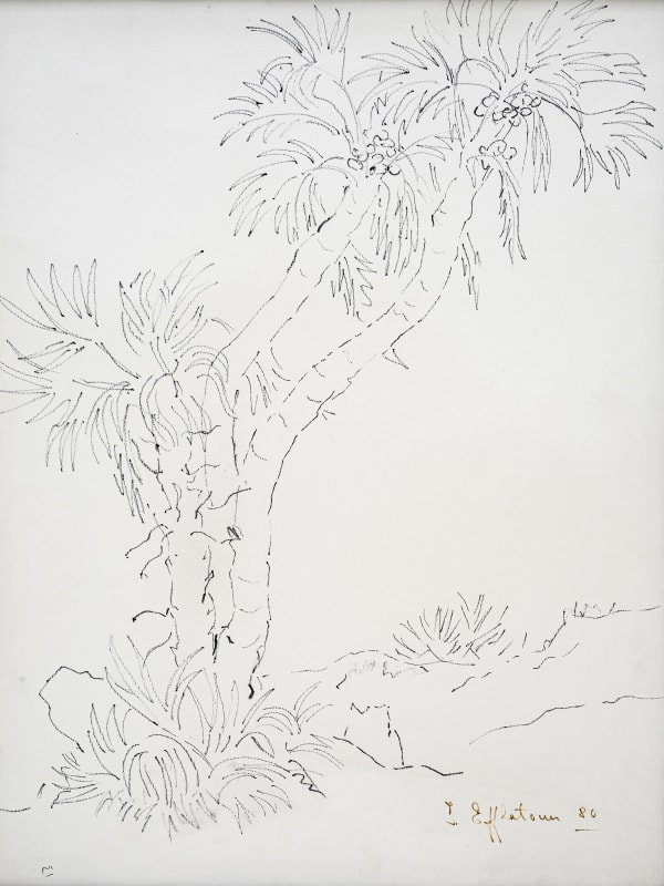 Pair of Palms