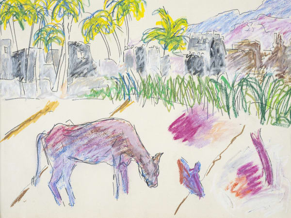 Ox in Field
