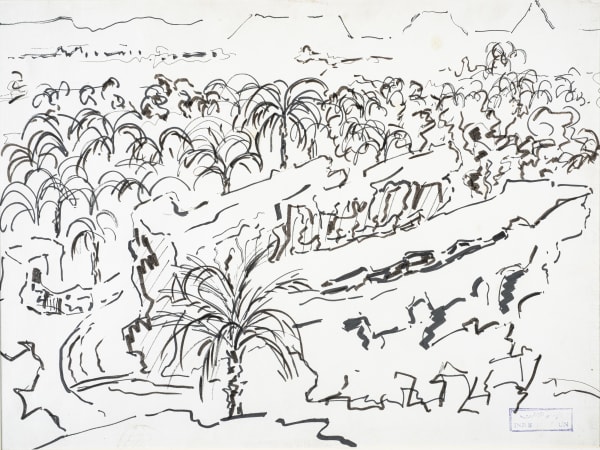 Palm Tree Farm