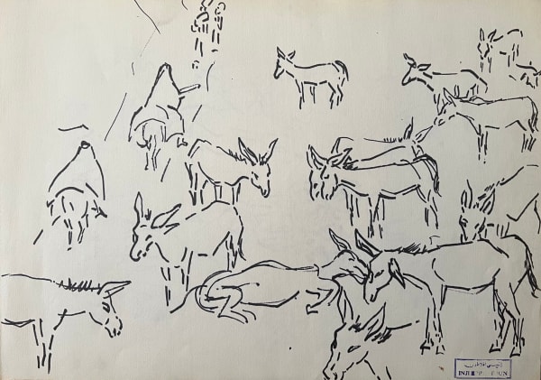 Donkeys