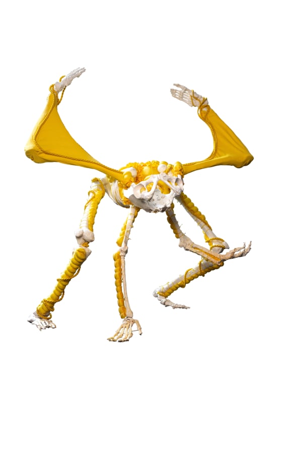 Kata Oelschlägel, Yellow gargoyle, 2023