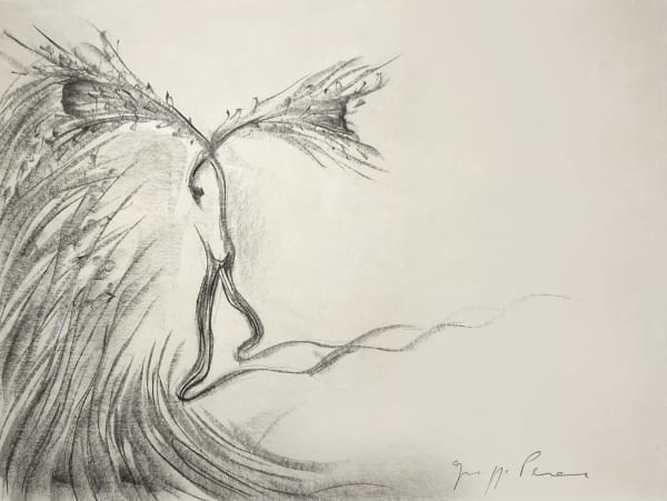 Giuseppe PENONE, Untitled, 1983