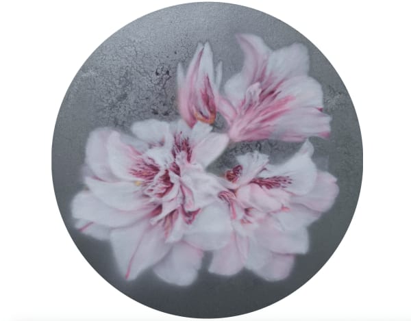 Crystel Ceresa, Hippeastrum, 2022