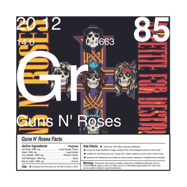 Daniel Allen Cohen, Guns N' Roses (Gr-85), 2023