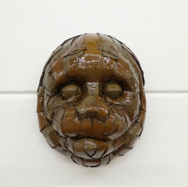 Laurence Vallieres, Capucin Monkey, 2014