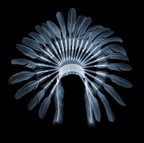 Nick Veasey, Headdress, 2018