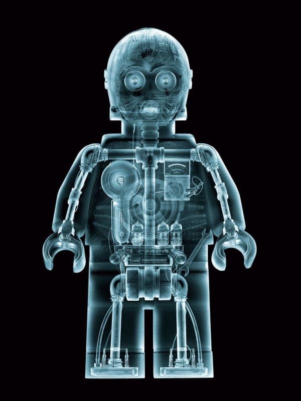 Dale May, X-Ray CthruPO (metal), 2016