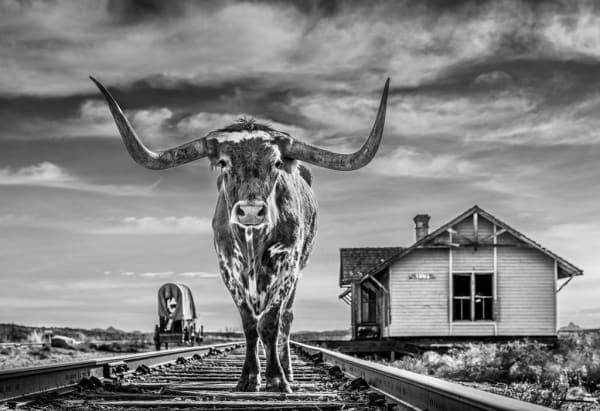 David Yarrow, End of the Line, 2020