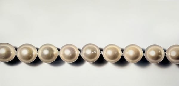 Renée Levin, Pearly Whites, 2024