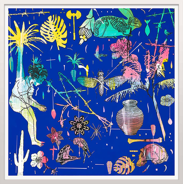 Dan Baldwin, Capture, 2018