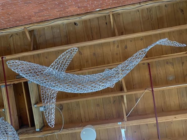 Vincent Mock, Blue Shark, 2019