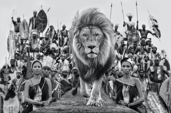 David Yarrow, Catwalk, 2021