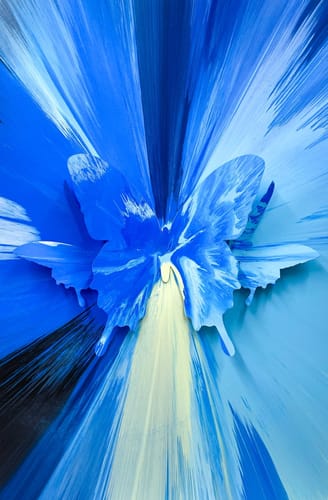 Punk Me Tender, 55, 2020