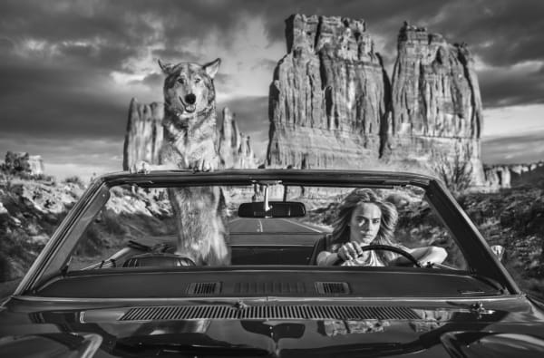 David Yarrow, Drive (Standard), 2021