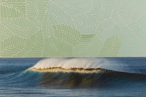 Jonathan Nimerfroh and Brooke Kelley, Offshore, 2023