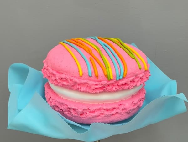 Peter Anton, Macaron, 2025