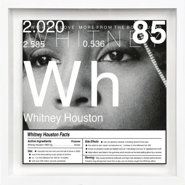 Daniel Allen Cohen, Whitney Houston (Wh-85), 2023