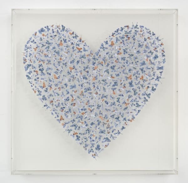 Charles Patrick Studio, Gentle Company, 2024