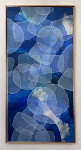 Charlie Bluett, Drifting Amongst the Corals, 2024