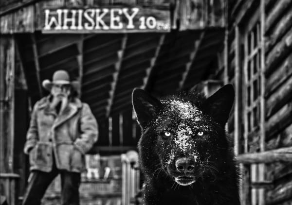 David Yarrow, It Was the Whiskey Talking, 2022