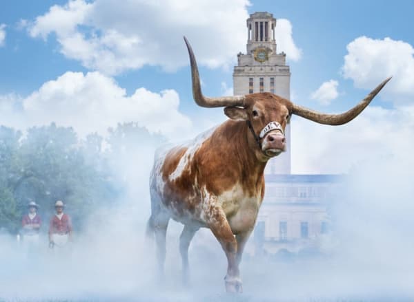 David Yarrow, Hook Em Horns, Austin TX (color), 2024