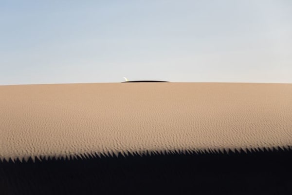 Jonathan Nimerfroh, Land Locked, 2024